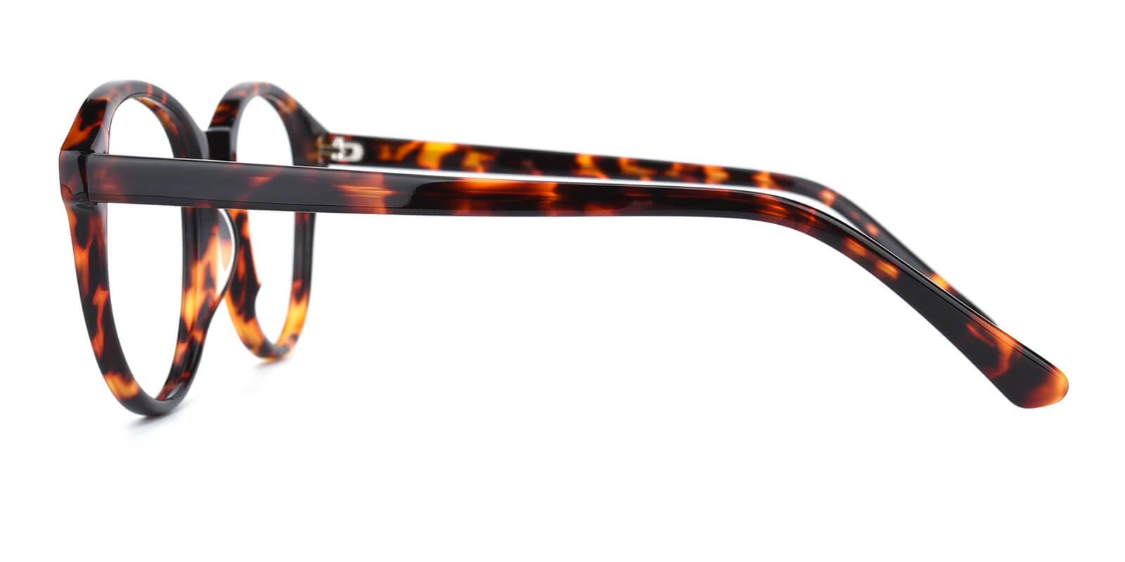 Bellona-Tortoise-Round-Acetate-Eyeglasses-detail