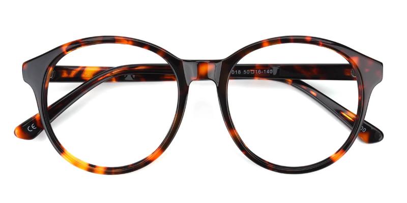 Bellona-Tortoise-Eyeglasses