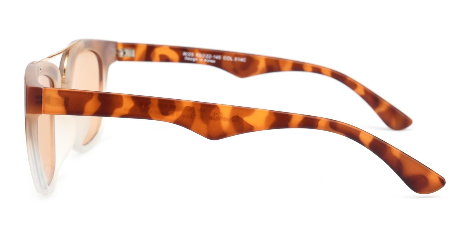 Decode-Leopard-Aviator-TR-Sunglasses-detail