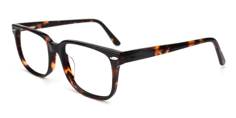 Tempiry-Pattern-Eyeglasses
