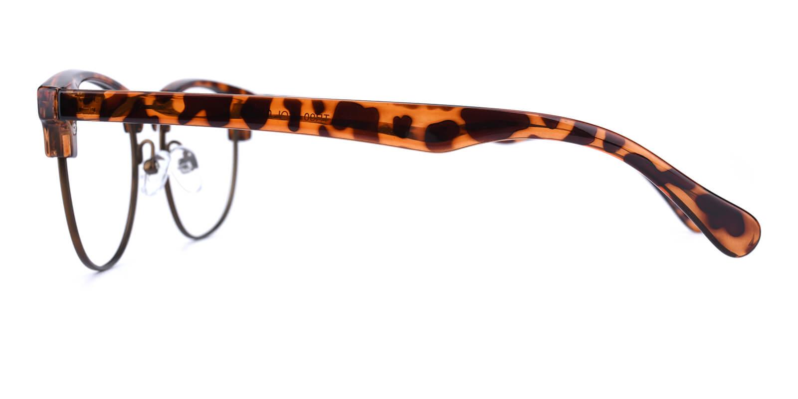 Ferrous-Leopard-Browline-Combination / Metal / TR-Eyeglasses-detail