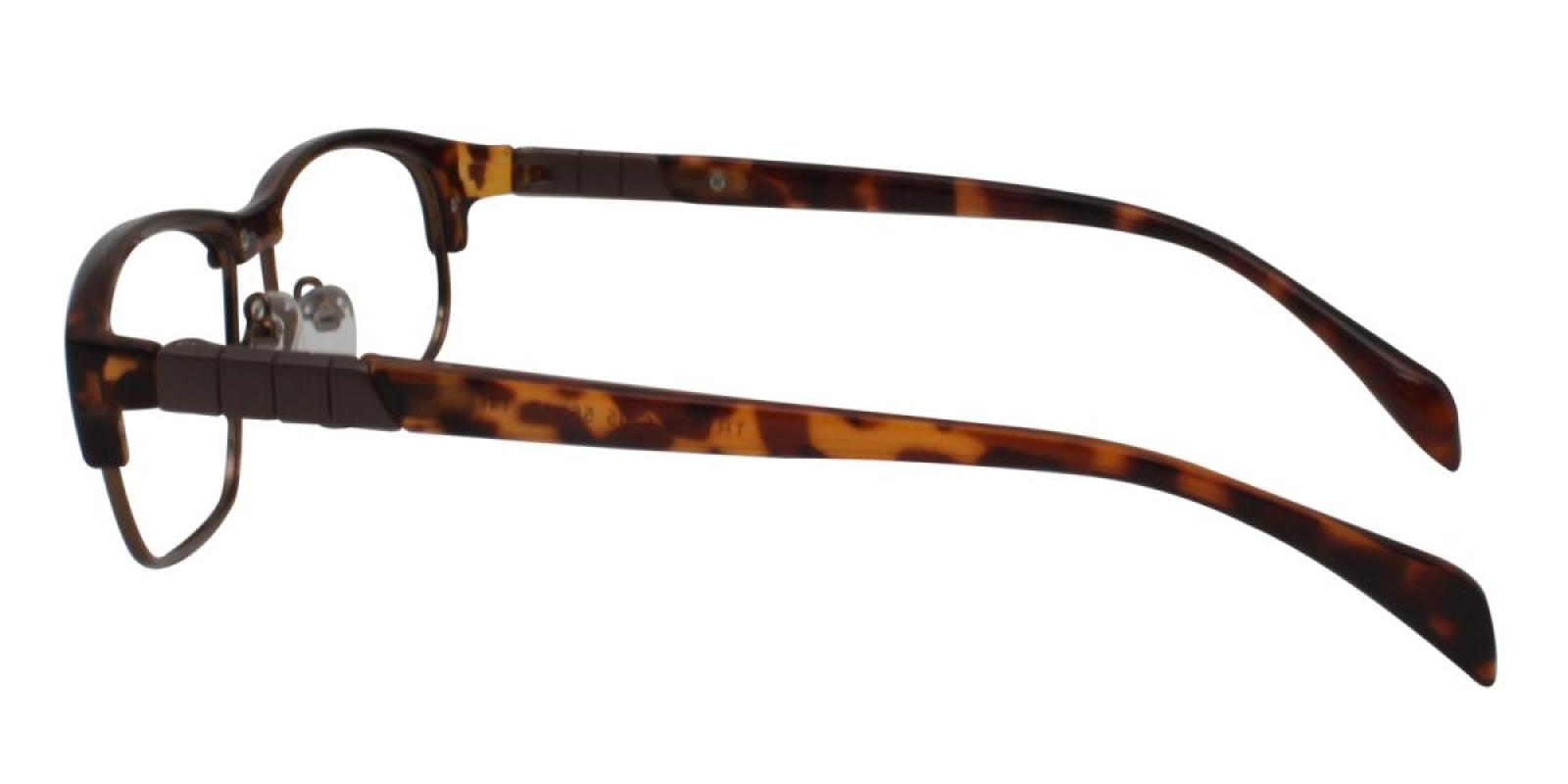 Colin-Leopard-Rectangle-Combination / Metal / TR-Eyeglasses-detail