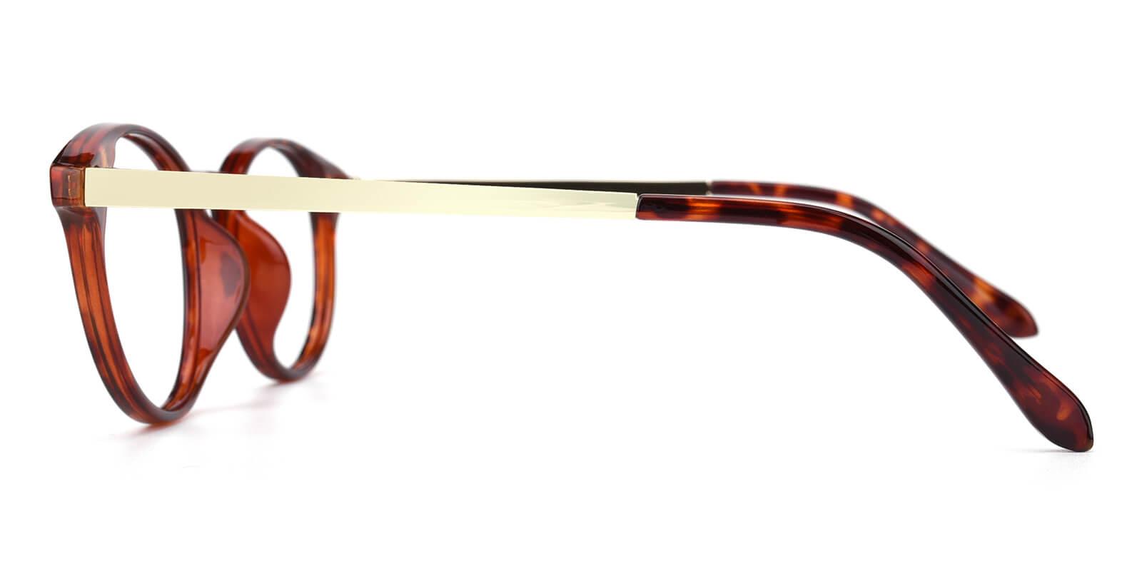 Zaire-Tortoise-Round-Metal / TR-Eyeglasses-detail
