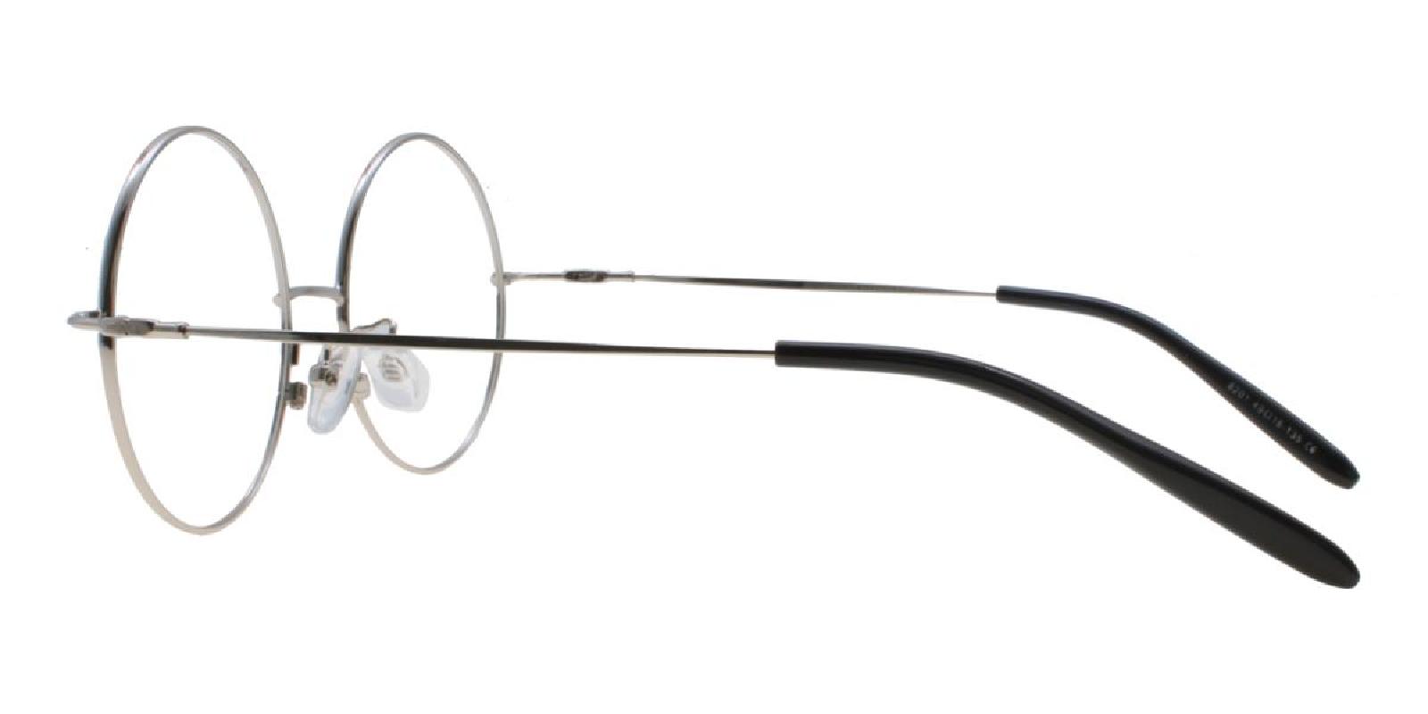 Lily-Silver-Round-Metal / Acetate-Eyeglasses-detail