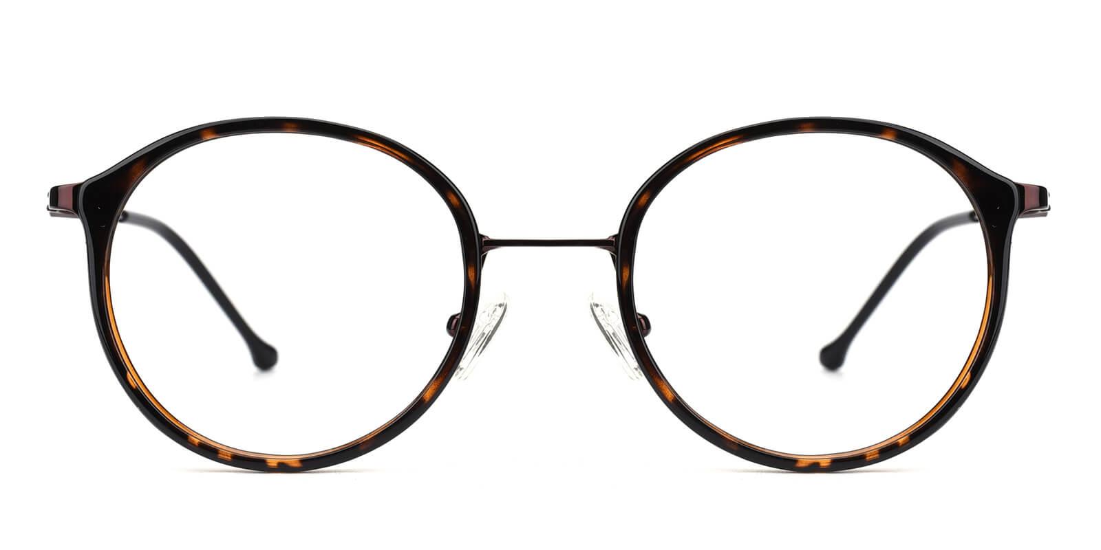Portrait-Brown-Round-TR / Metal-Eyeglasses-detail