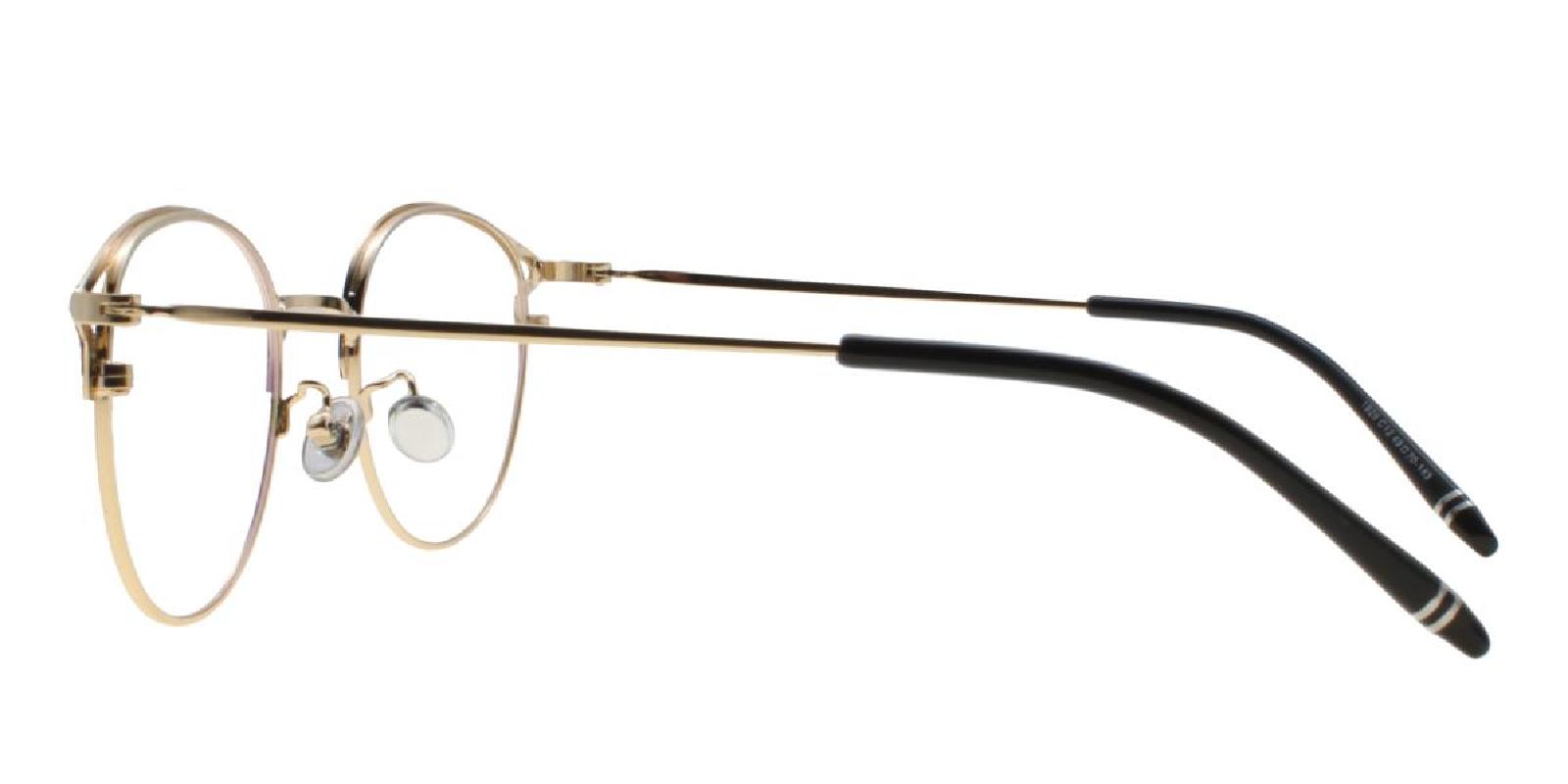 Brace-Gold-Browline-Metal-Eyeglasses-detail