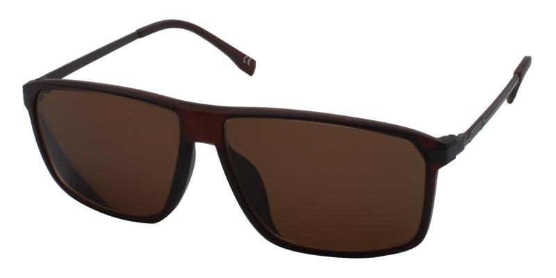 Brighton-Brown-Sunglasses