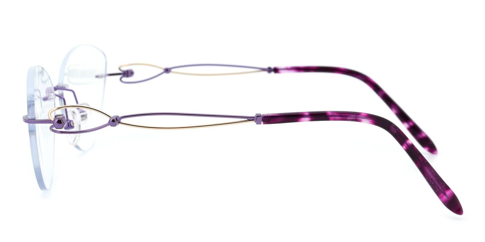 Dome-Purple-Cat-Titanium-Eyeglasses-detail