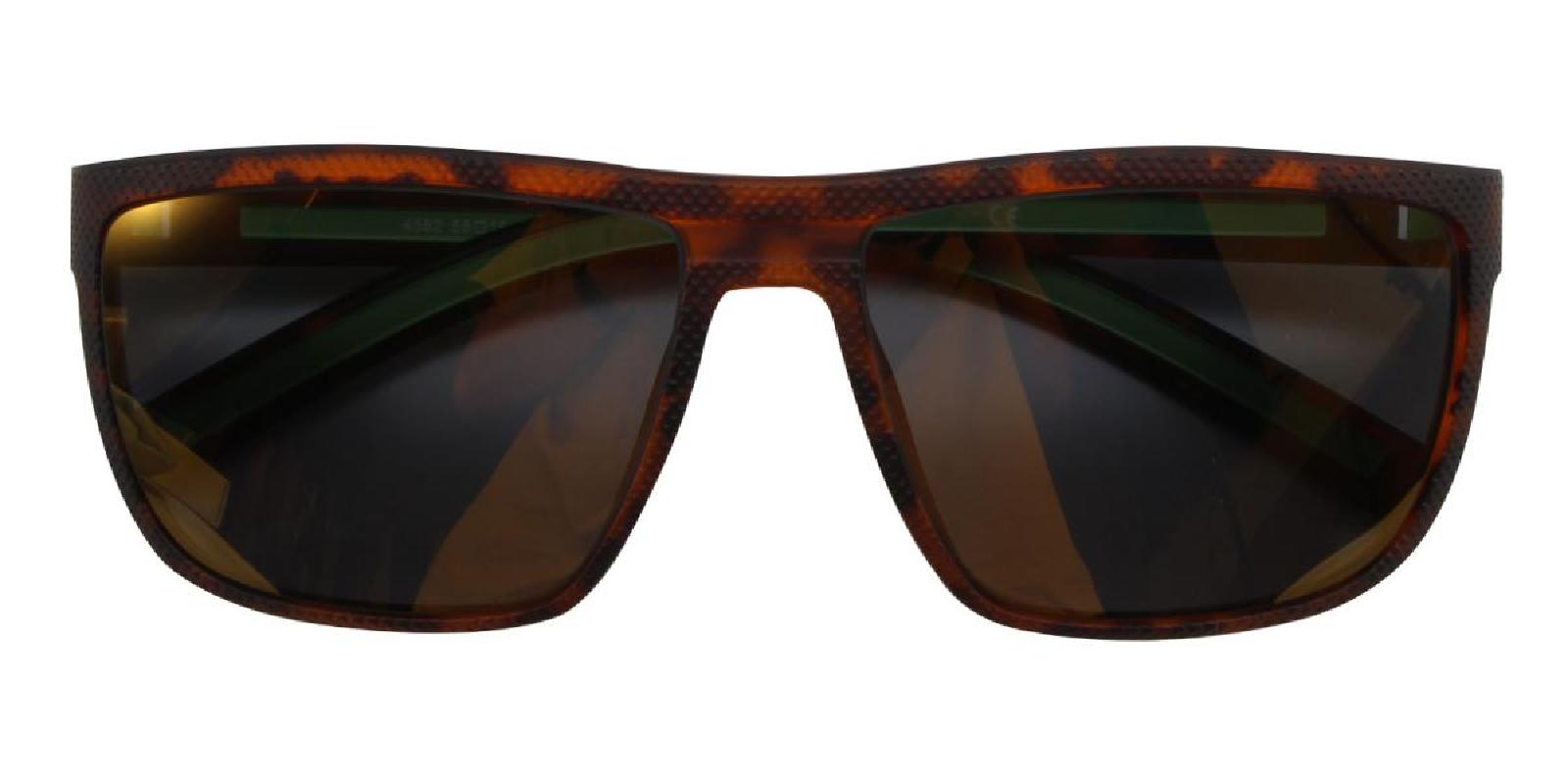 Desert-Tortoise-Rectangle-TR-Sunglasses-detail