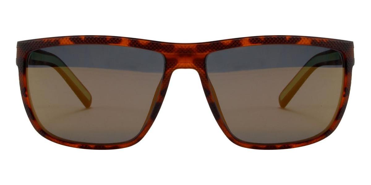 Desert-Tortoise-Rectangle-TR-Sunglasses-detail