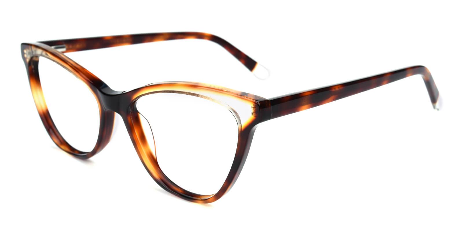 Florencer-Tortoise-Cat-Acetate-Eyeglasses-detail