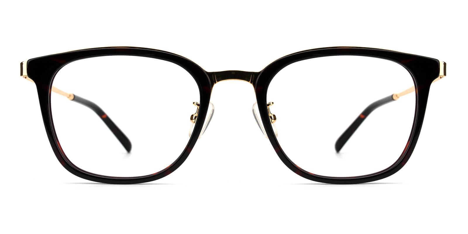 Keronito-Tortoise-Rectangle-Metal-Eyeglasses-detail