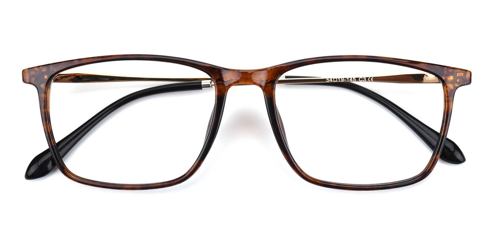 Erisony-Tortoise-Rectangle-TR-Eyeglasses-detail