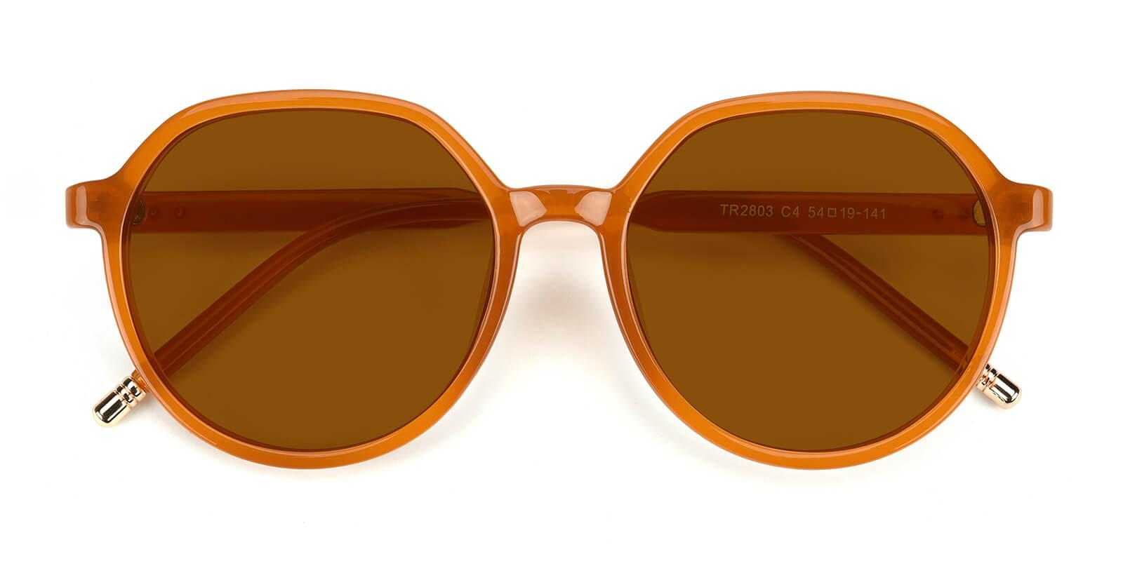 Songi-Brown-Round-TR-Sunglasses-detail