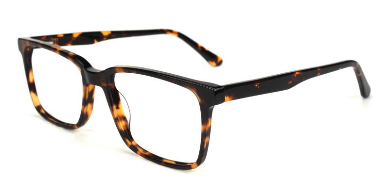 Sakou-Tortoise-Eyeglasses