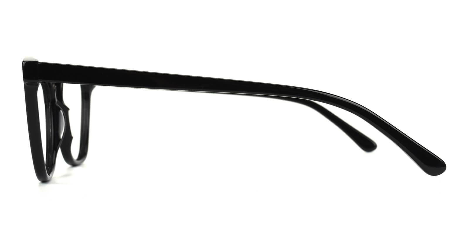 Castely-Black-Cat-Acetate-Eyeglasses-detail