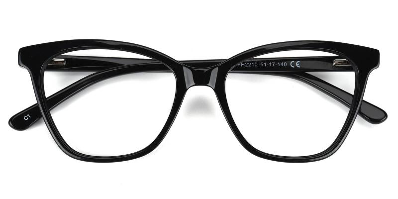 Castely-Black-Eyeglasses