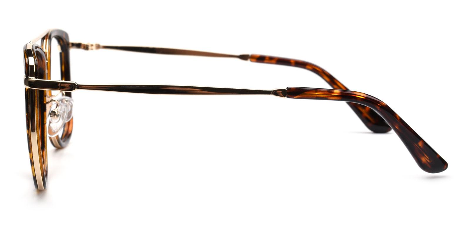 Bid-Leopard-Aviator-Combination-Eyeglasses-detail