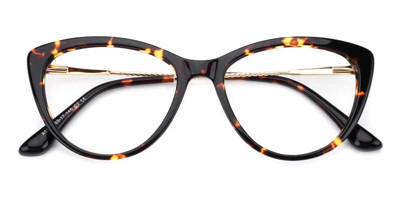 Valentine-Tortoise-Eyeglasses