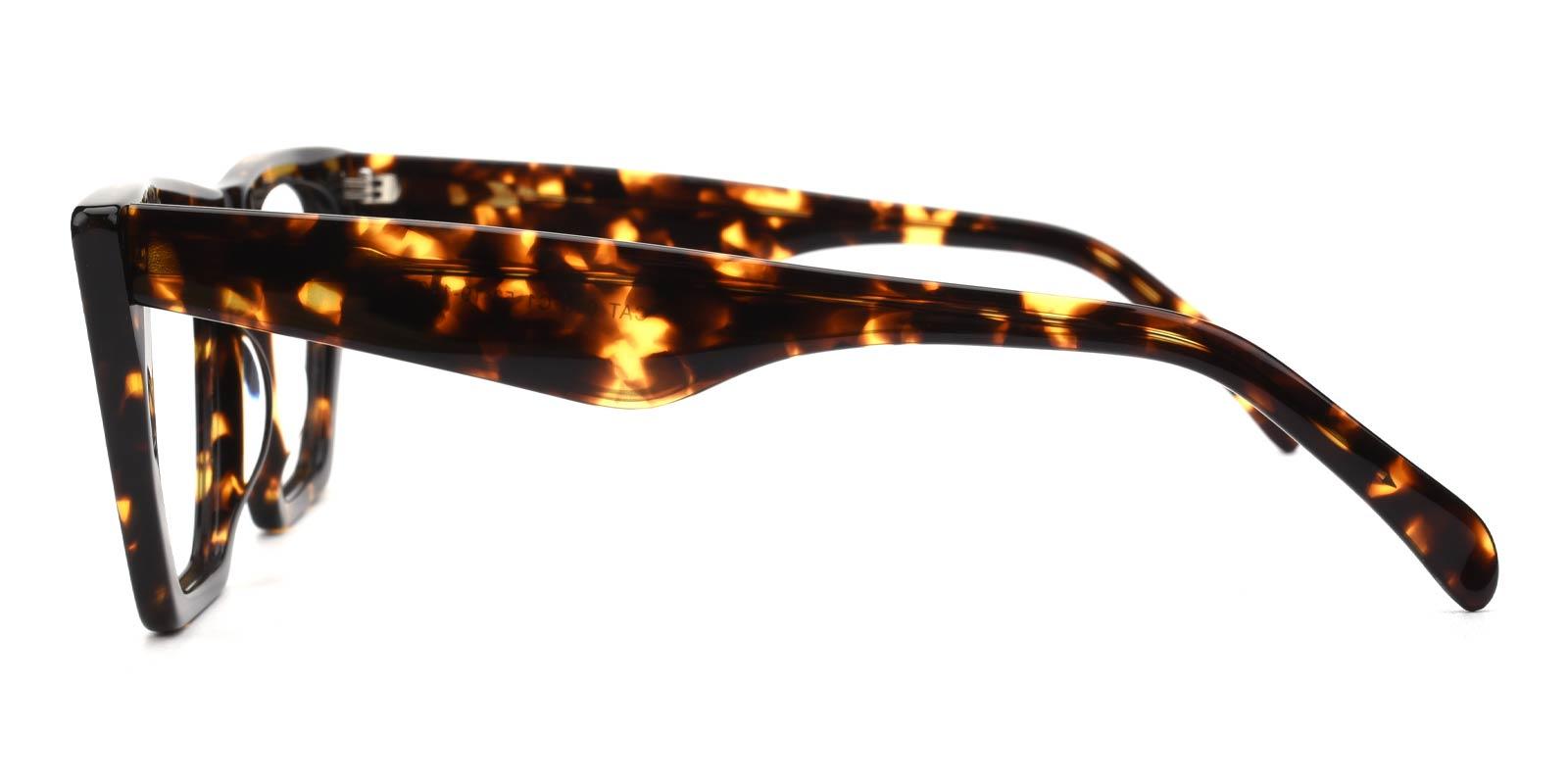 Alva-Tortoise-Cat-Acetate-Eyeglasses-detail