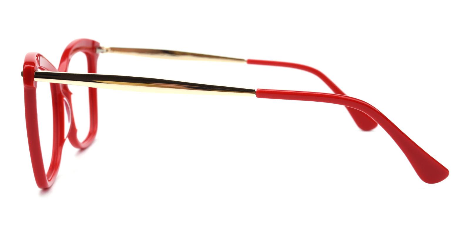 Gleen-Red-Cat-Combination-Eyeglasses-detail