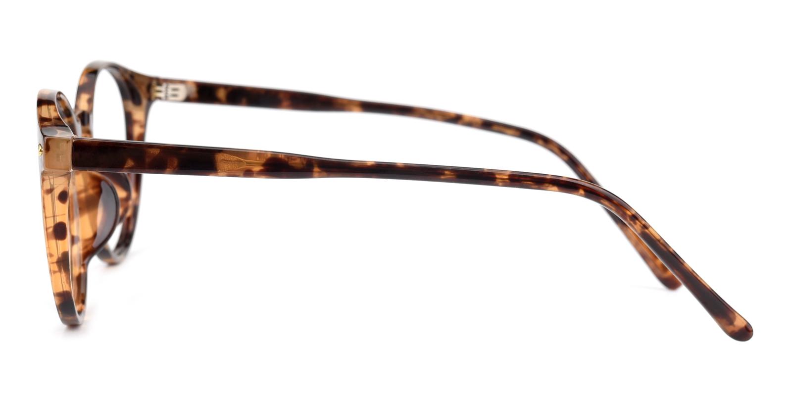 Cain-Tortoise-Round-TR-Eyeglasses-detail