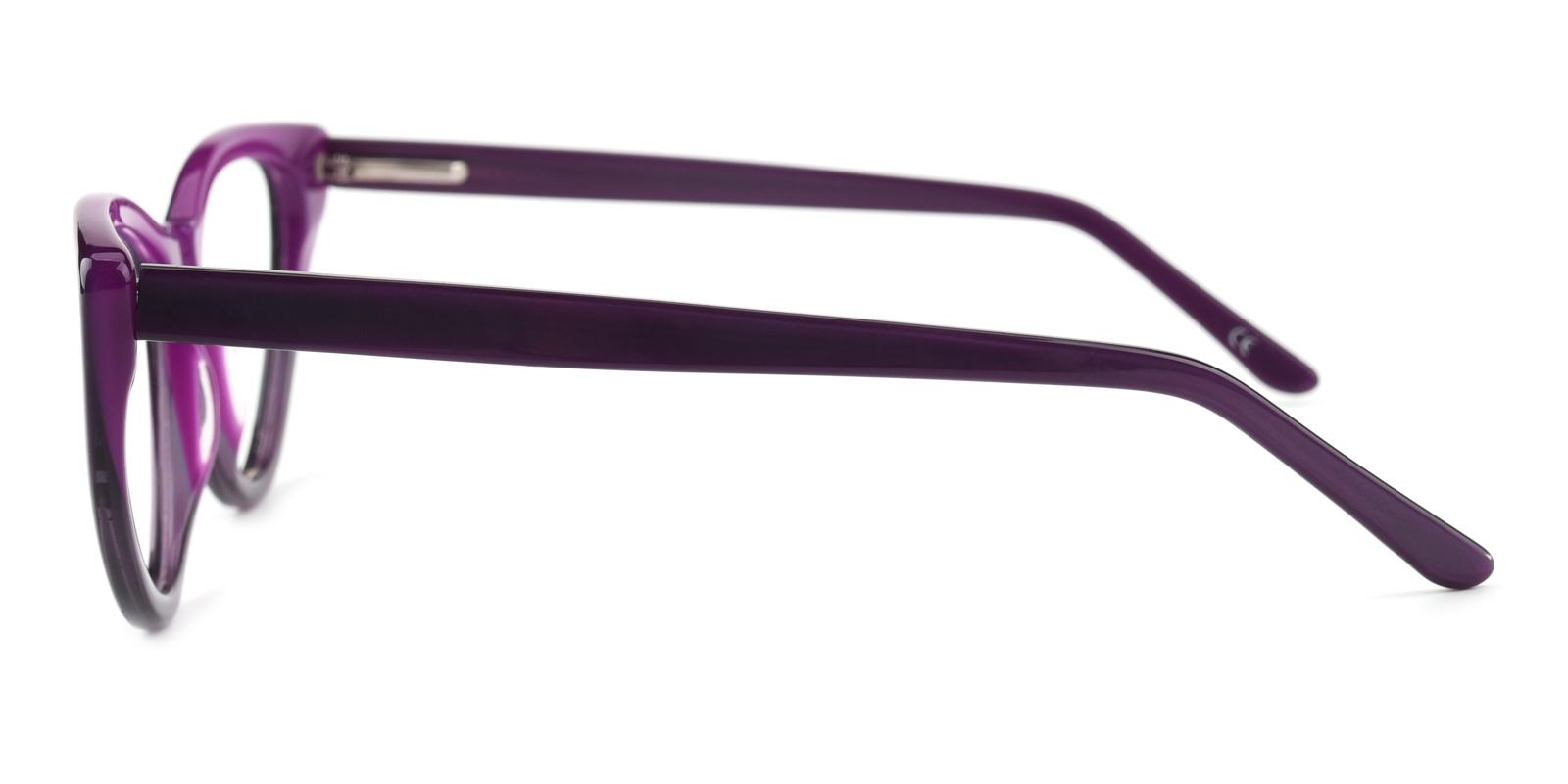 Section-Purple-Rectangle-TR-Eyeglasses-detail