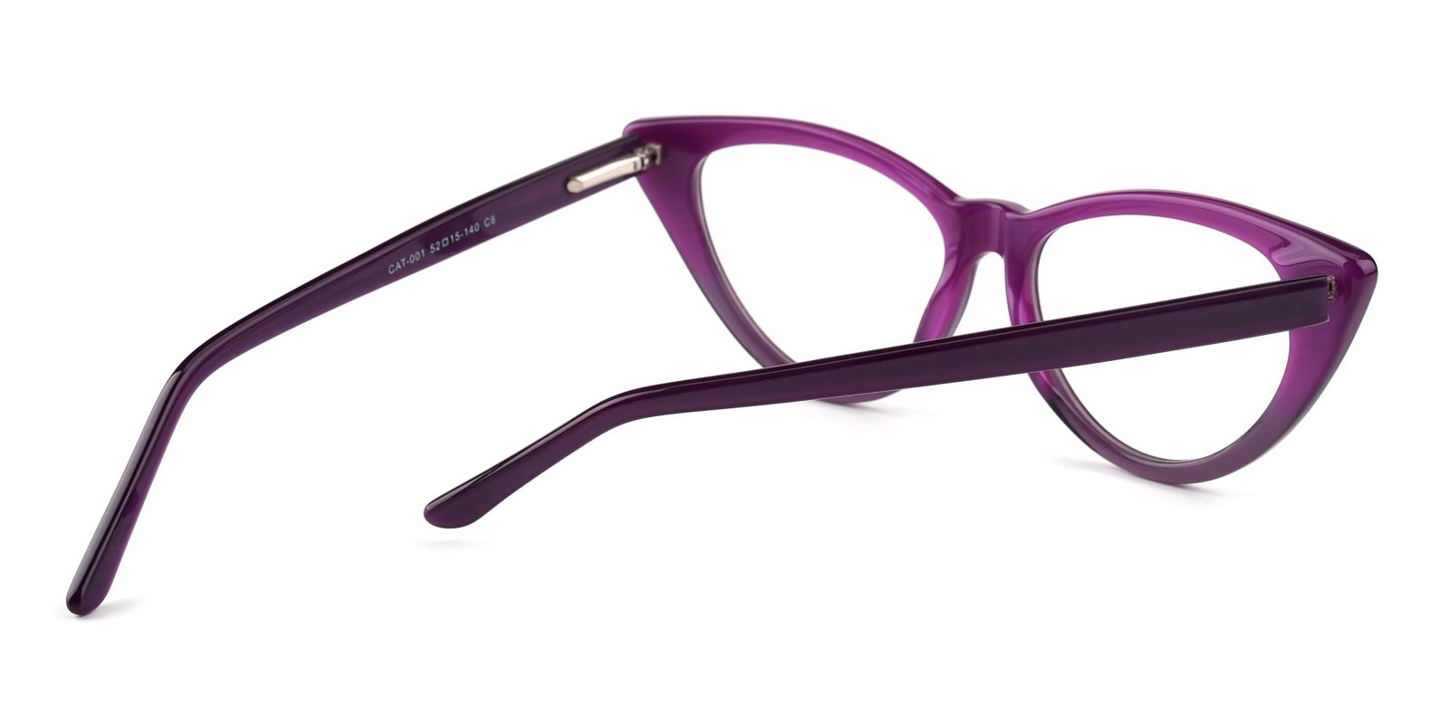 Section-Purple-Rectangle-TR-Eyeglasses-detail