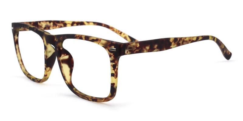Flynn-Tortoise-Eyeglasses
