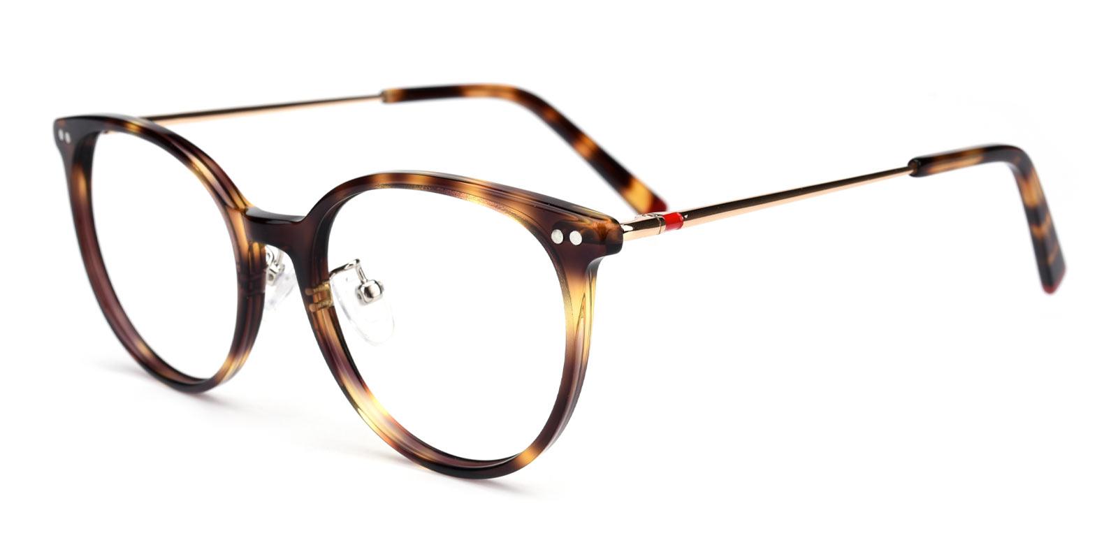 Xenia-Tortoise-Round-TR-Eyeglasses-detail
