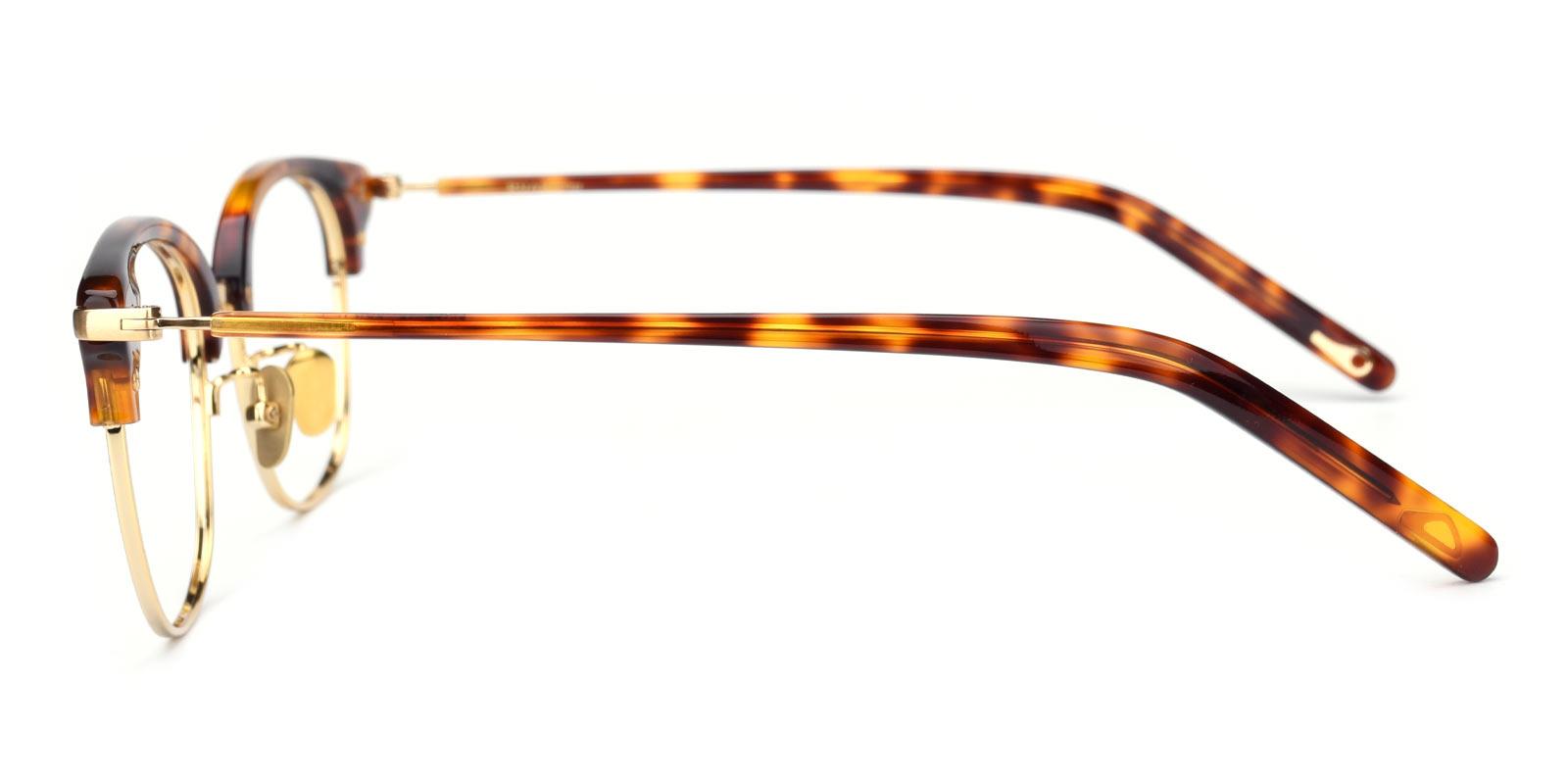 Baron-Tortoise-Browline-Titanium-Eyeglasses-detail