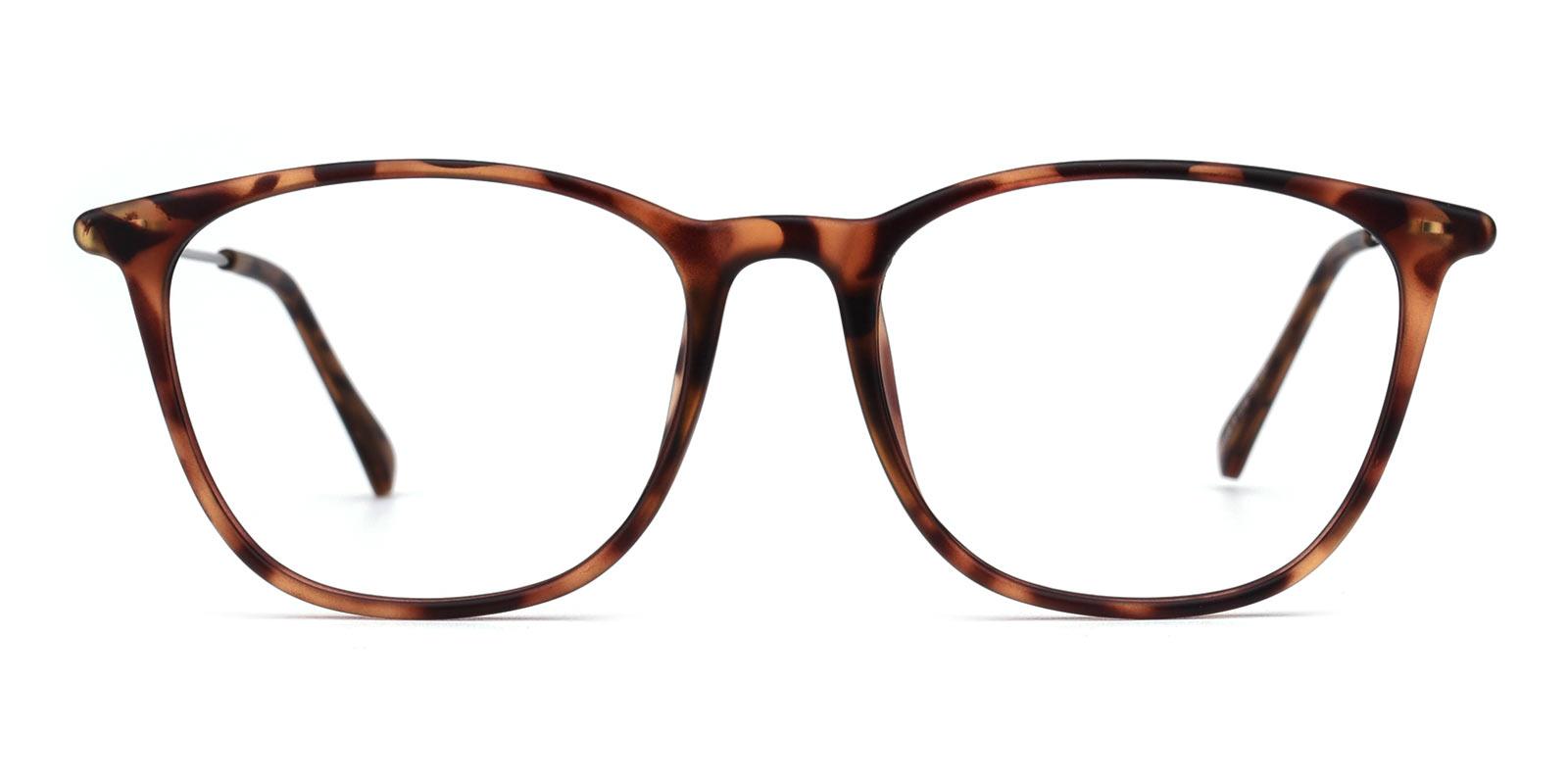 Who-Tortoise-Square-TR-Eyeglasses-detail