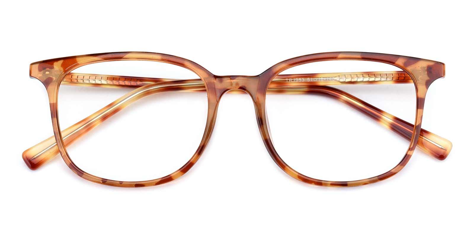 Corson-Tortoise-Rectangle-TR-Eyeglasses-detail