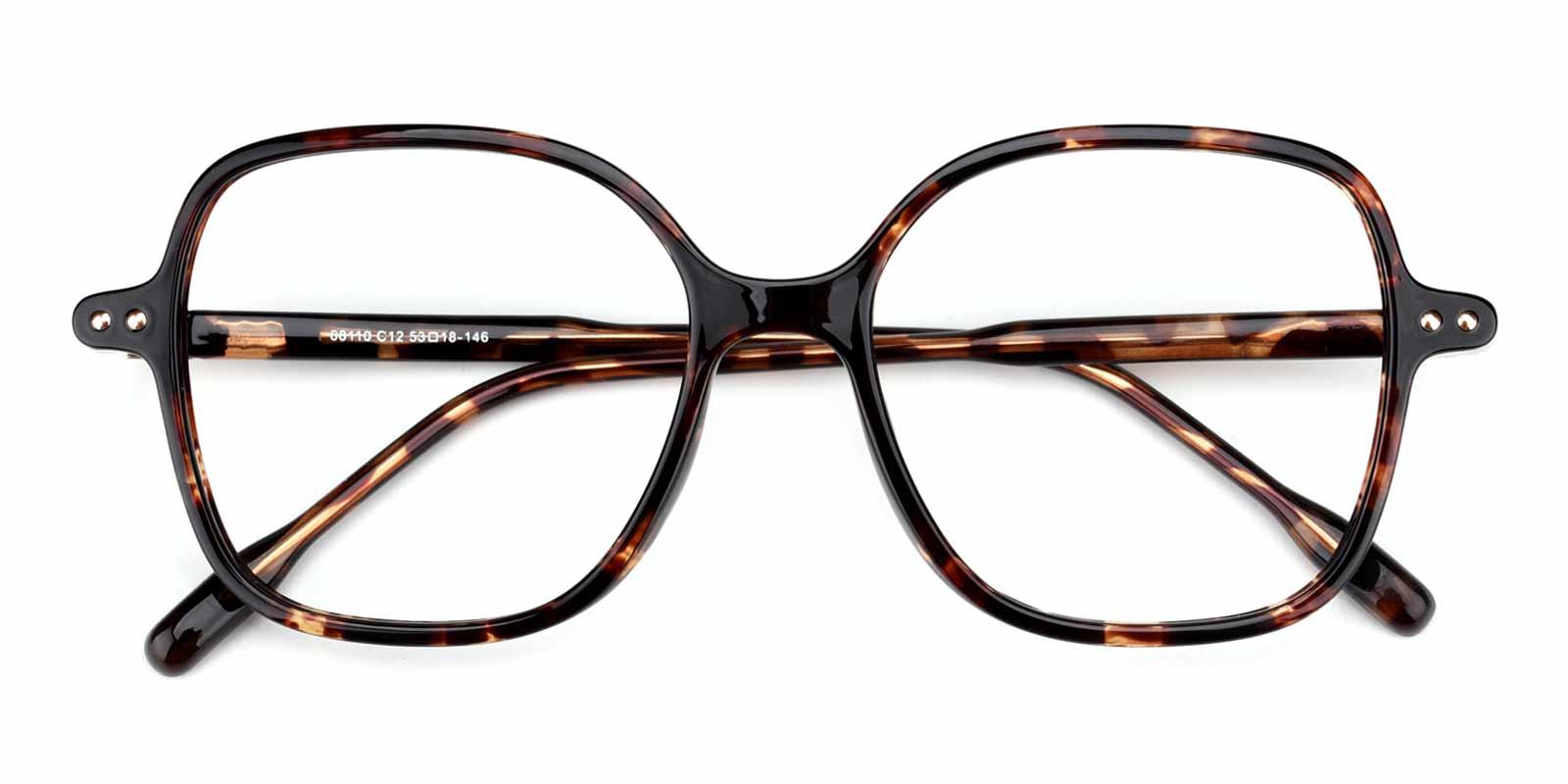 Garfield-Tortoise-Square-TR-Eyeglasses-detail