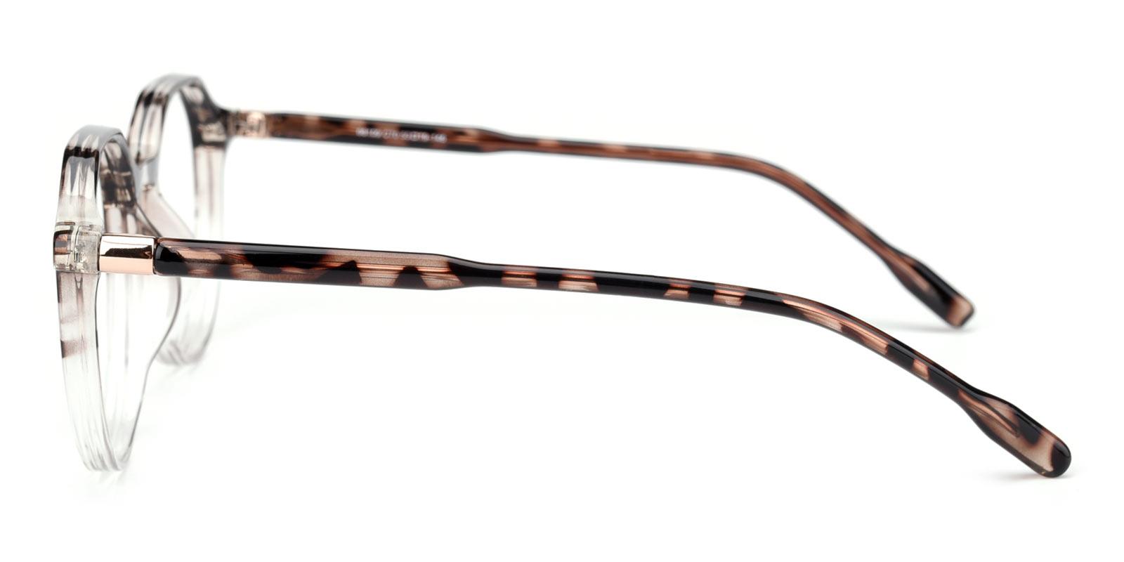 Cappuccino-Tortoise-Geometric-TR-Eyeglasses-detail
