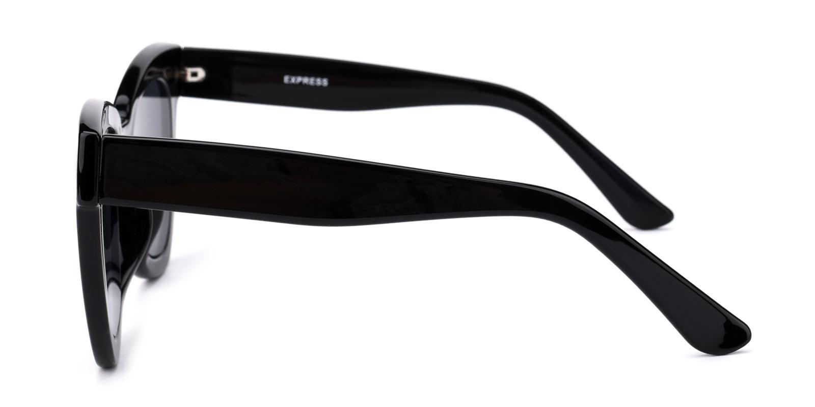 Miriam-Black-Cat-Plastic-Sunglasses-detail