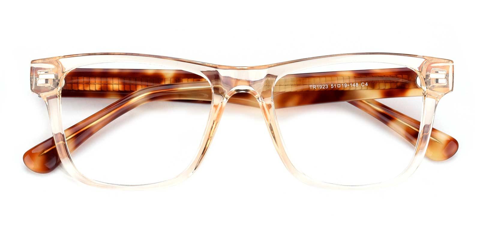 Verdun-Tortoise-Rectangle-TR-Eyeglasses-detail