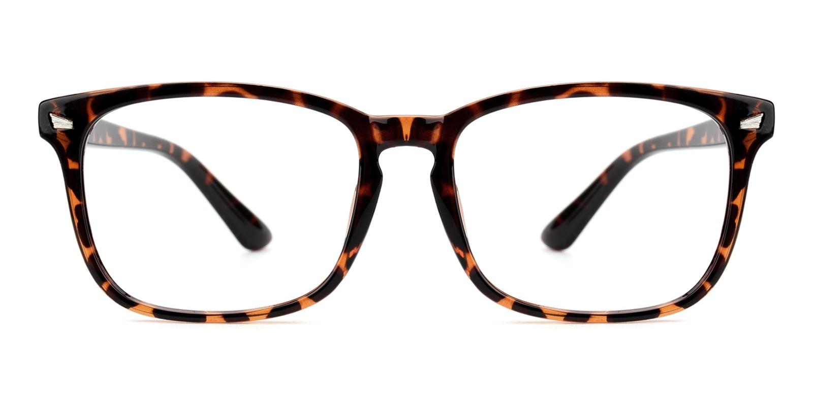 David-Tortoise-Rectangle-TR-Eyeglasses-detail