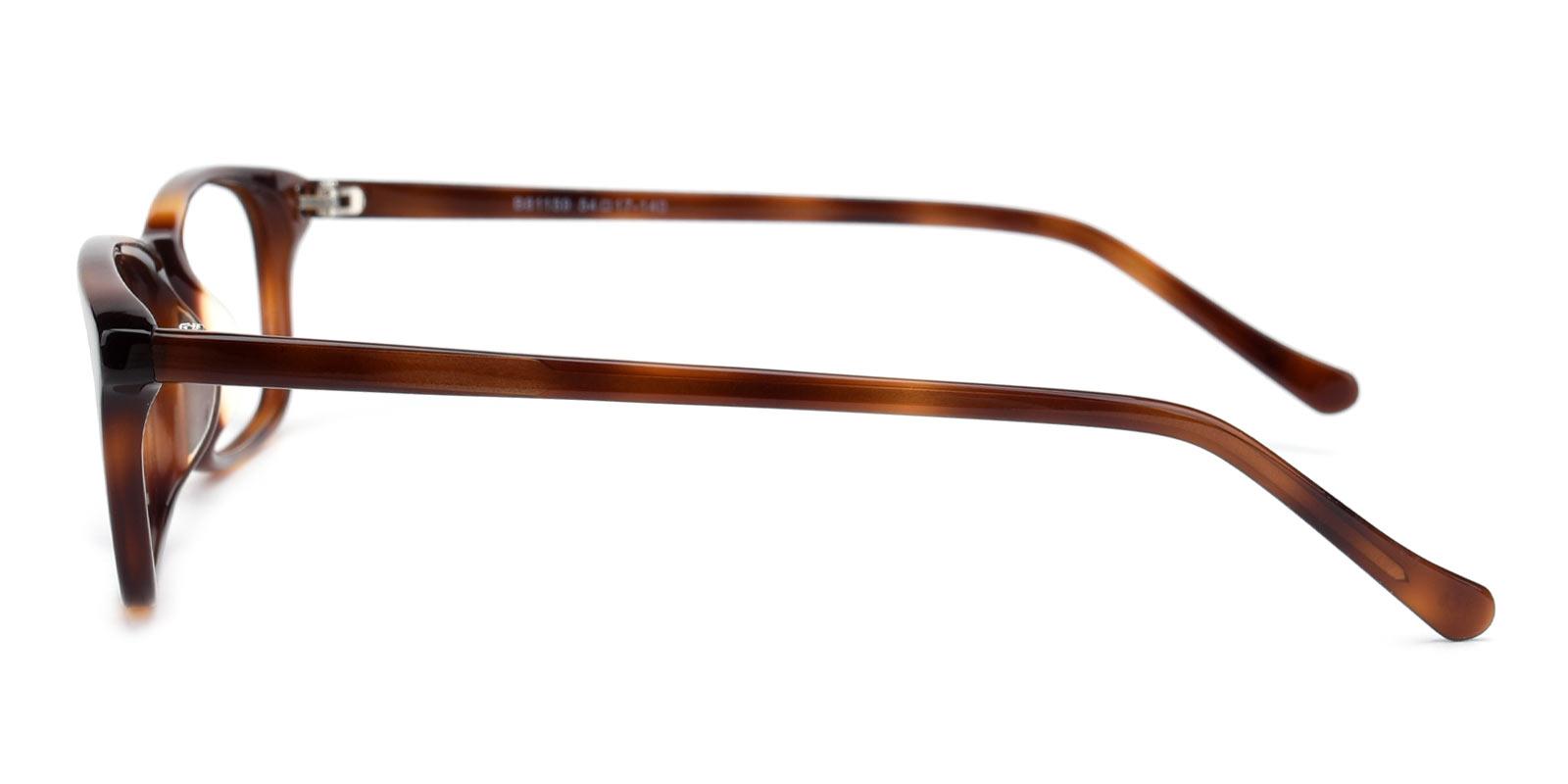 Shimmer-Tortoise-Rectangle-TR-Eyeglasses-detail