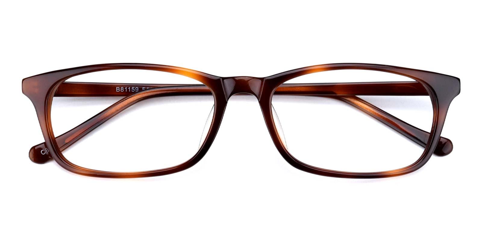 Shimmer-Tortoise-Rectangle-TR-Eyeglasses-detail