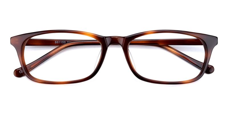 Shimmer-Tortoise-Eyeglasses