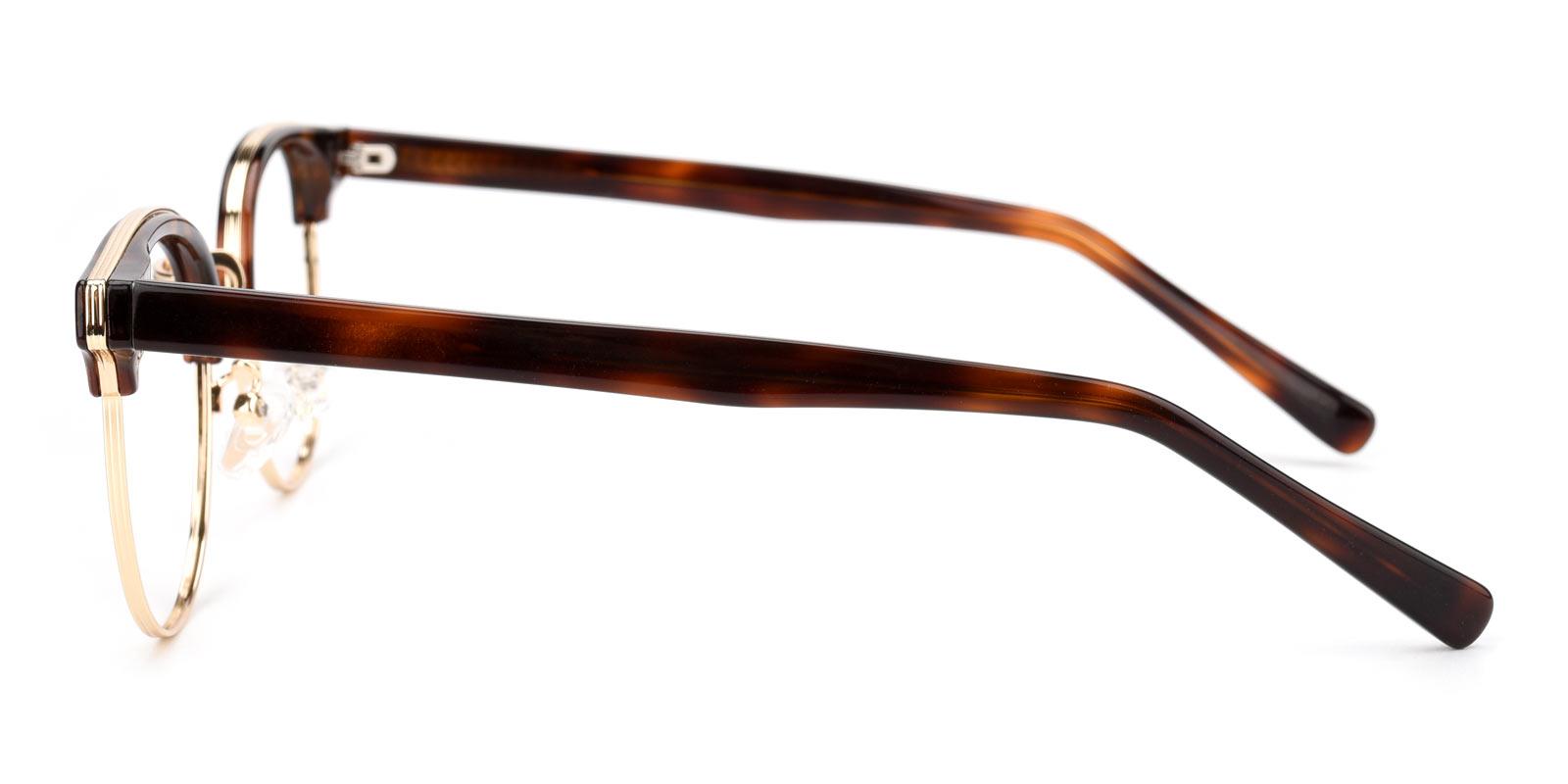 Shelly-Tortoise-Browline / Round-Combination-Eyeglasses-detail