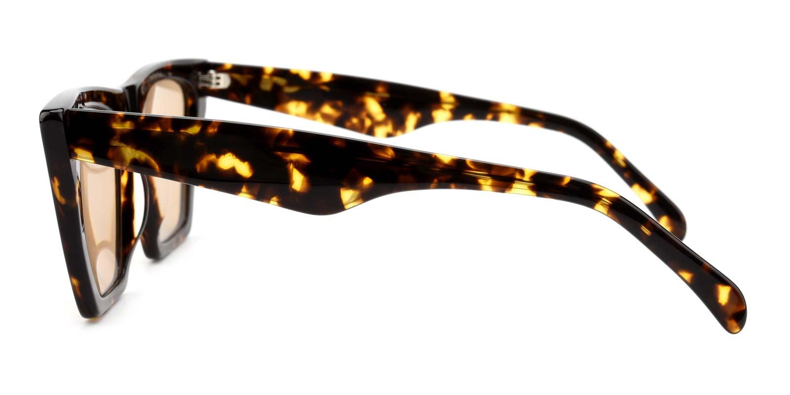 Alva-Tortoise-Cat-Acetate-Sunglasses-detail