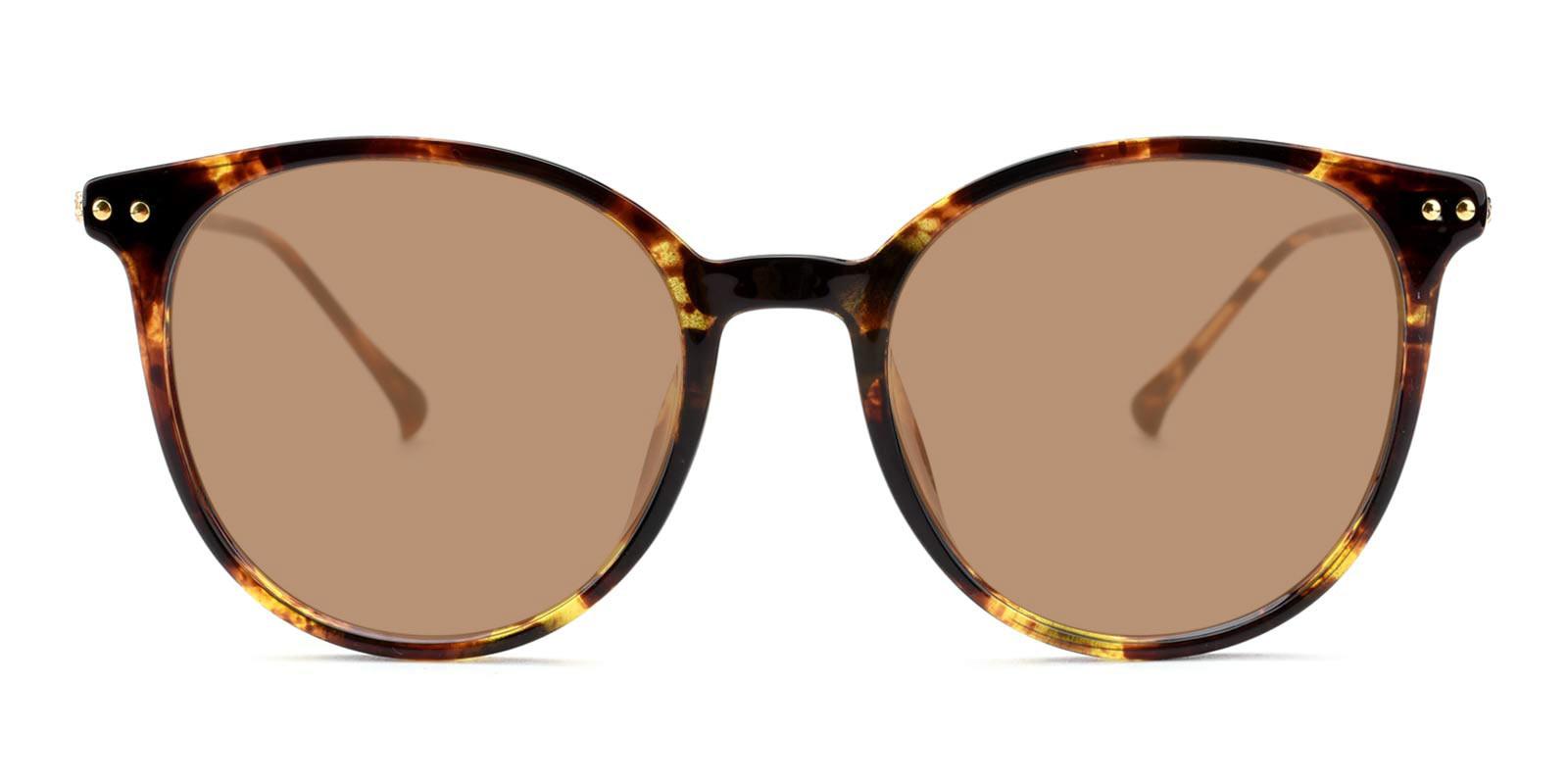 Amelia-Tortoise-Round-TR-Sunglasses-detail