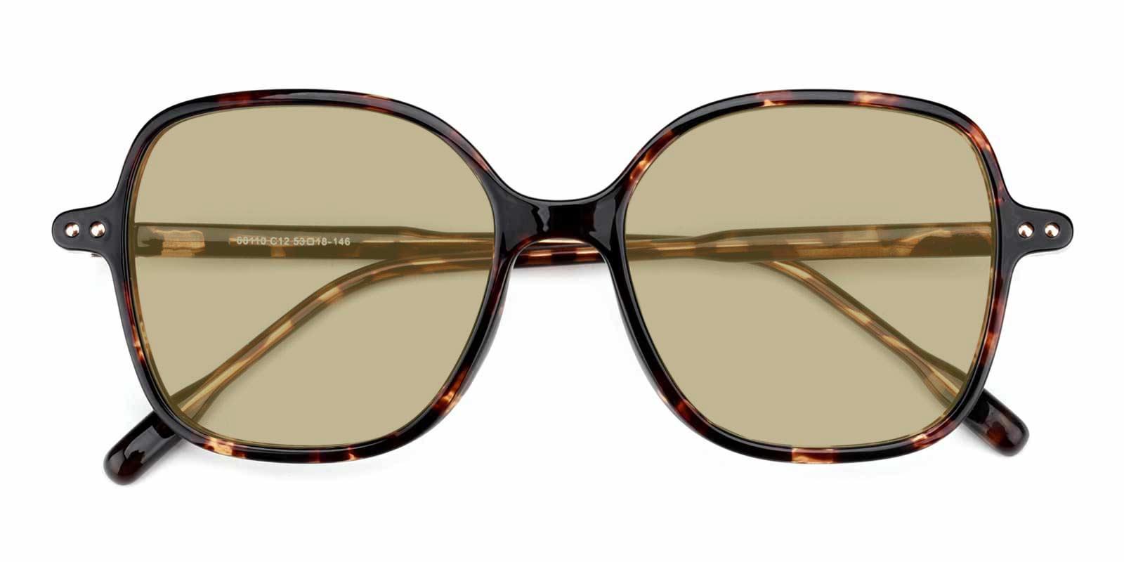 Garfield-Tortoise-Square-TR-Sunglasses-detail