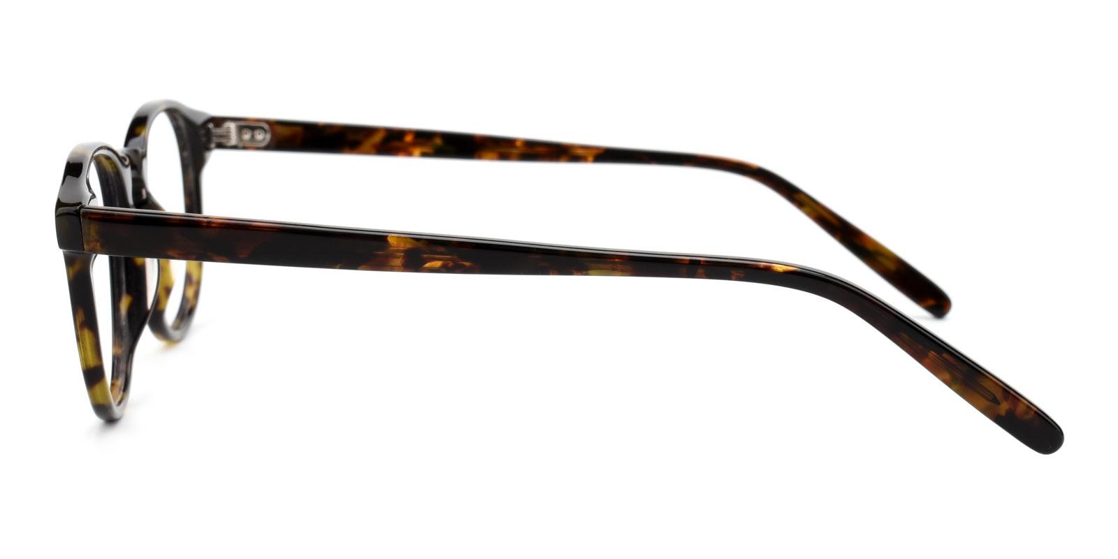 Terri-Tortoise-Round-TR-Eyeglasses-detail