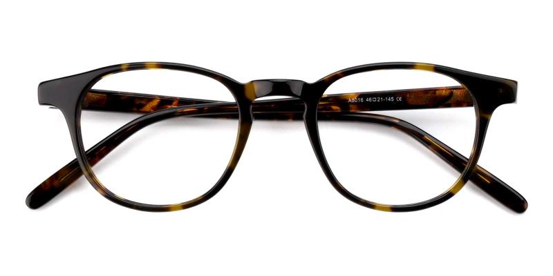Terri-Tortoise-Eyeglasses