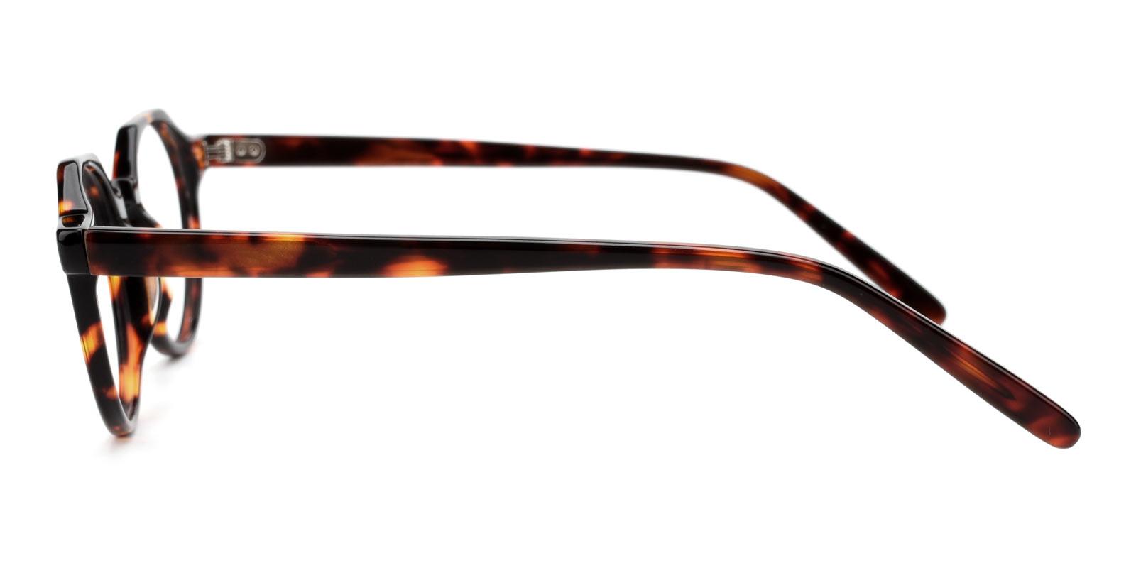 Susan-Tortoise-Round-TR-Eyeglasses-detail