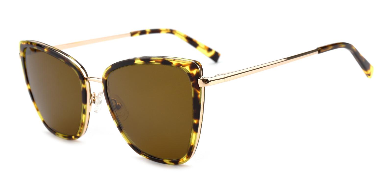 Nellie-Tortoise-Cat-Acetate-Sunglasses-detail