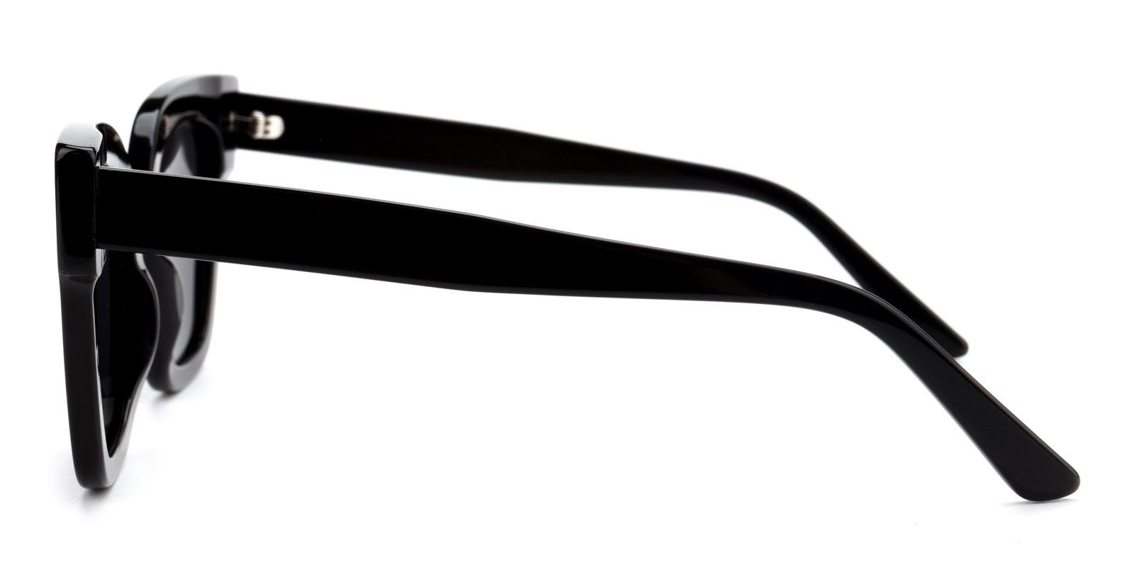 Aldrich-Black-Cat-Acetate-Sunglasses-detail